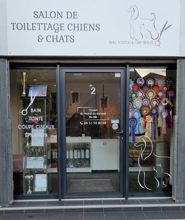 Salon de notre toiletteuse de Schnauzers
