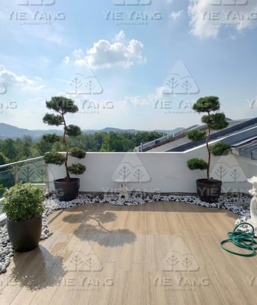 Rooftop garden with cloud-pruned trees and white pebbles – Yie Yang Landscape