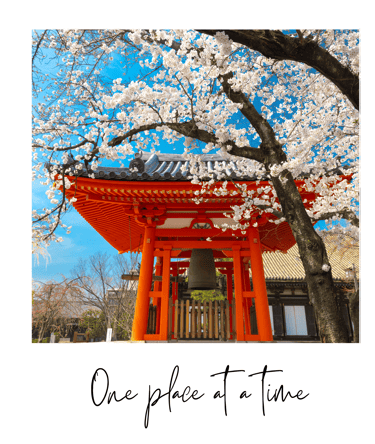 sakura festival, Japan