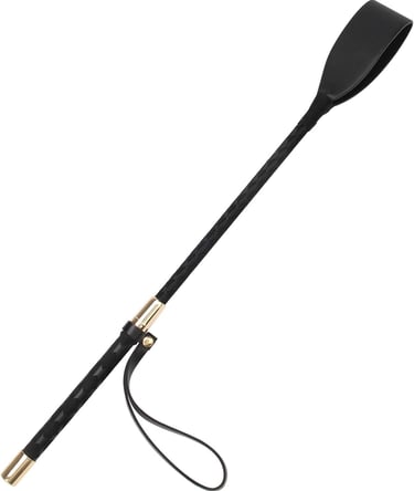 Beginner-Friendly Whip