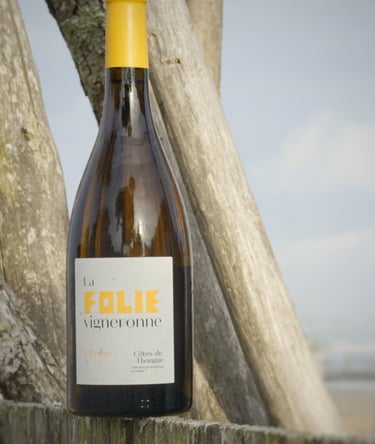 White wine IGP Côtes de Thongue
