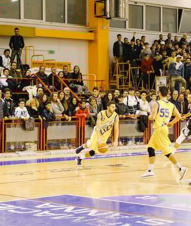 PalaPlatani Cercola - Palazzetto dello Sport per eventi di basket, volley e arti marzialli