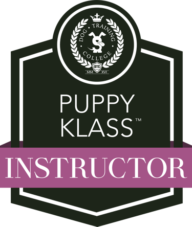 Puppy Class instructor