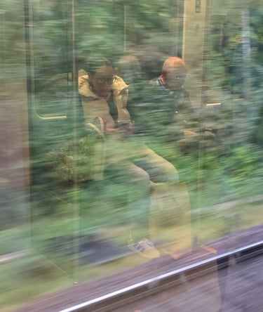 Two people sit on a train; window reflections of blurred greenery obscure parts of their faces. She checks her phone.