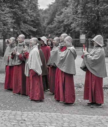a group of monks in red robes standing in a line