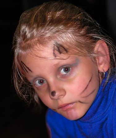 a young girl with a face paint on her face