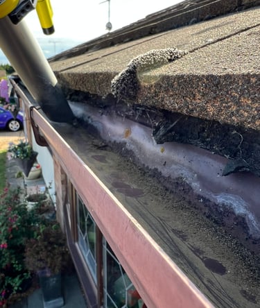 Guttering cleaned with a gutter vacuum cleaning service