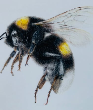 Bee