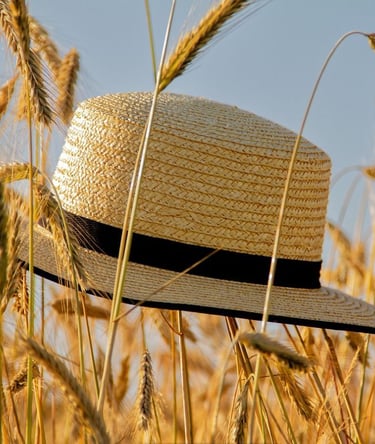 Danger of Heatwaves and Heatstrokes