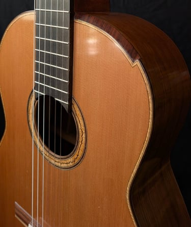 tailored guitar