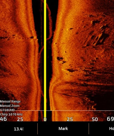 walleye sonar images on side view on Garmin sonar in lake