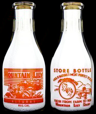 Mountain Lily Dairy Milk Bottle, Alturas, California Milk bottle for sale.