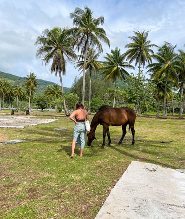 Manon et un cheval sur une plage avec des palmiers à Huahine