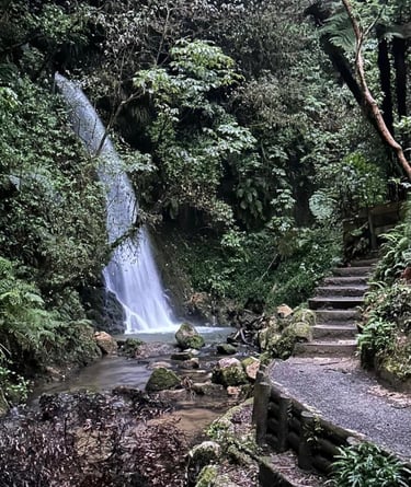 Cascada en McLaren Falls Waterfall Loop