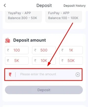 A mobile app deposit screen showing Rupee currency options and an amount input field.