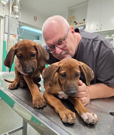 Dr Vladimir Ćirković