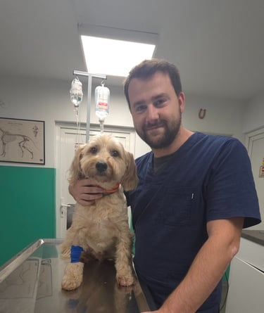 Dr spec. vet. med. Filip Božinovski