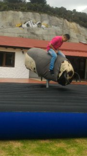 ALQUILER DE TORO MECANICO. -MECHANICAL BULL RENTAL