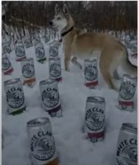 Bucks On Main Whiteclaw special