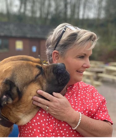 Emandla Boerboels Amanda with Eben