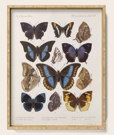 Moth wings serving tray