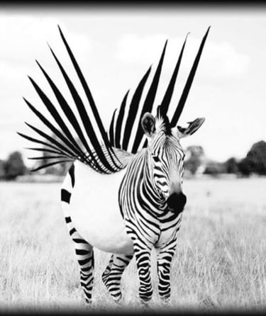 Neuroatypie Zèbre HPI TDAH TSA 