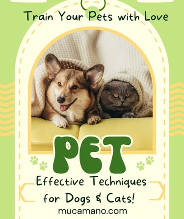 Dog training&Cat training