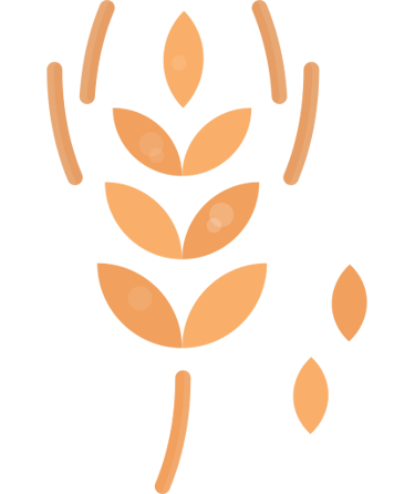 Millet grass graphics