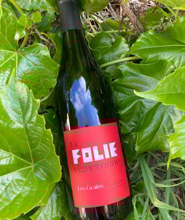 Red wine AOP Faugères