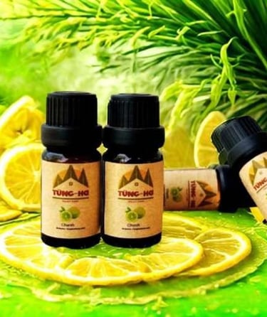 Tinh dầu chanh xanh Tùng Hạ, Lime Essential Oil, 青柠精油"