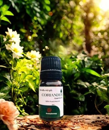 tinh dầu Mùi Già Karose, 老芫荽精油, Coriander Seed Essential Oil