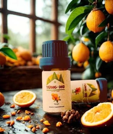 tinh dầu quýt Tùng Hạ, Tangerine Essential Oil, 柑橘精油"
