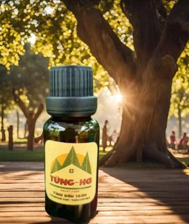 tinh dầu Tràm Gió tùng hạ, 白千层精油., Cajeput Essential Oil>