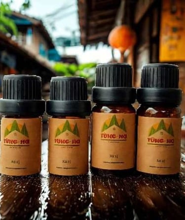tinh dầu Xá Xị Tùng Hạ, Siam Wood Essential Oil, 沉香精油"
