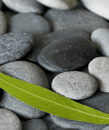 Procedimiento ante el tribunal europeo de derechos humanos (TEDH)