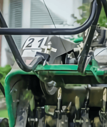spring yard prep