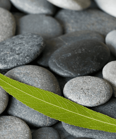 Procedimiento ante el tribunal europeo de derechos humanos (TEDH)