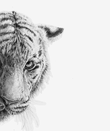 a half tiger face in black and white