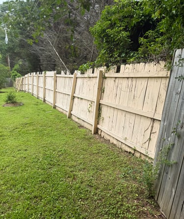 before pic of fence