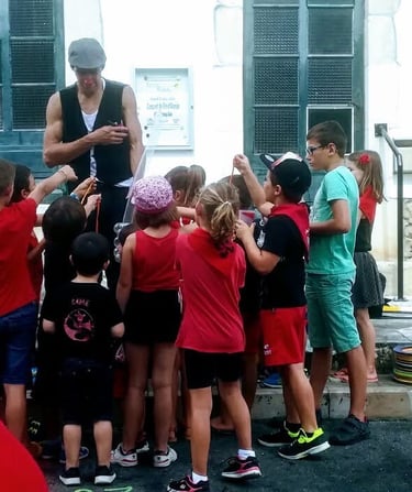 animation cirque bayonne