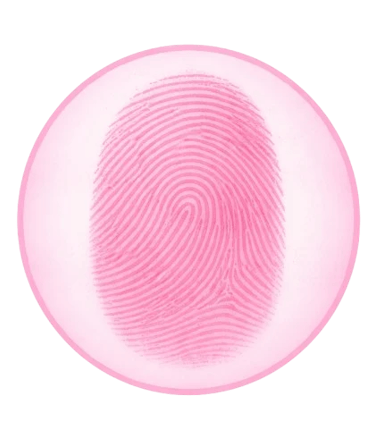 indicador visual de oferta especial de Bíblia feminina