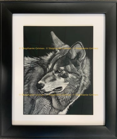 Scratchboard featuring the endangered red wolf.