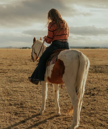 a woman riding a horse in a field