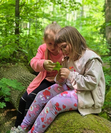 Mergaitės Buktos pažintiniame take