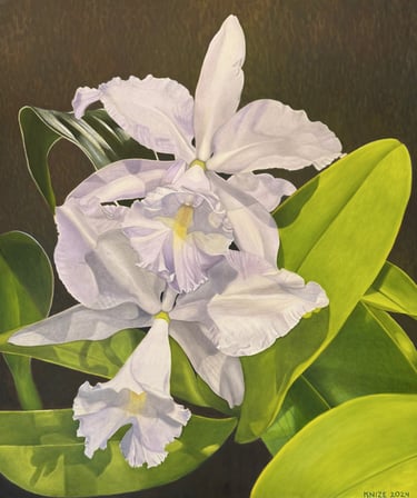 Double Lavender Cattleya