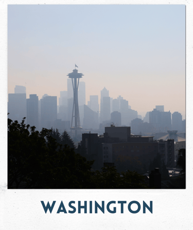 seattle, washington, space needle, city view, a city skyline with a view of the city