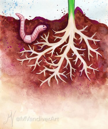 Illustrations from The Rose Without A Name by New Orleans artist Melissa Vandiver.