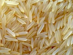 1401 basmati rice golden sella -export quality