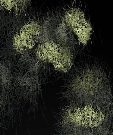 digital art, visual art, digital paintings, Joanna Wlaszyn