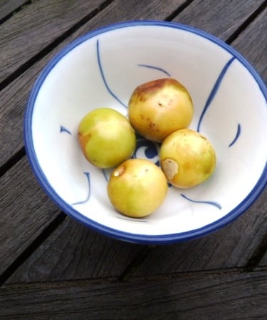Ripe fruits